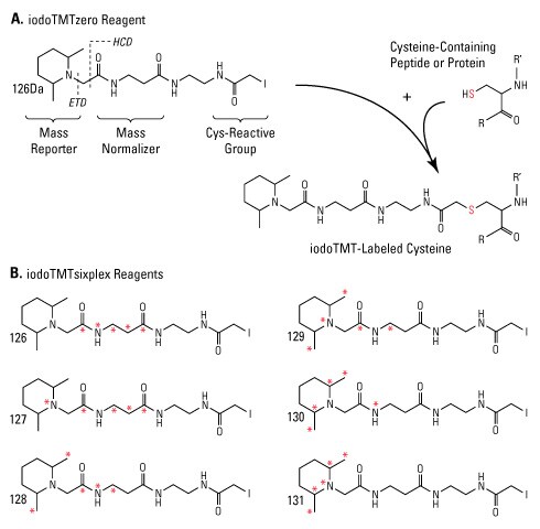 A13n11-Fig1 A13n11-Fig1