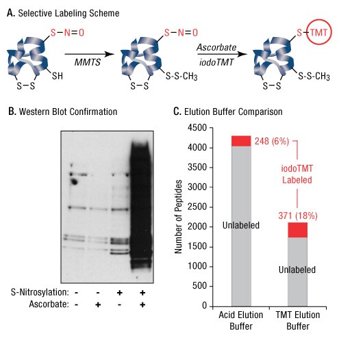 A13n11-Fig6 A13n11-Fig6