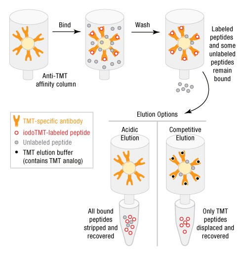 A13n11-Fig4 A13n11-Fig4