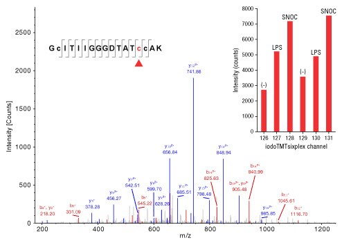 A13n11-Fig7 A13n11-Fig7