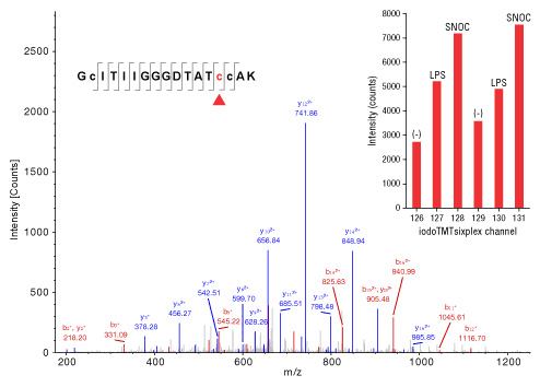 A13n11-Fig7 A13n11-Fig7