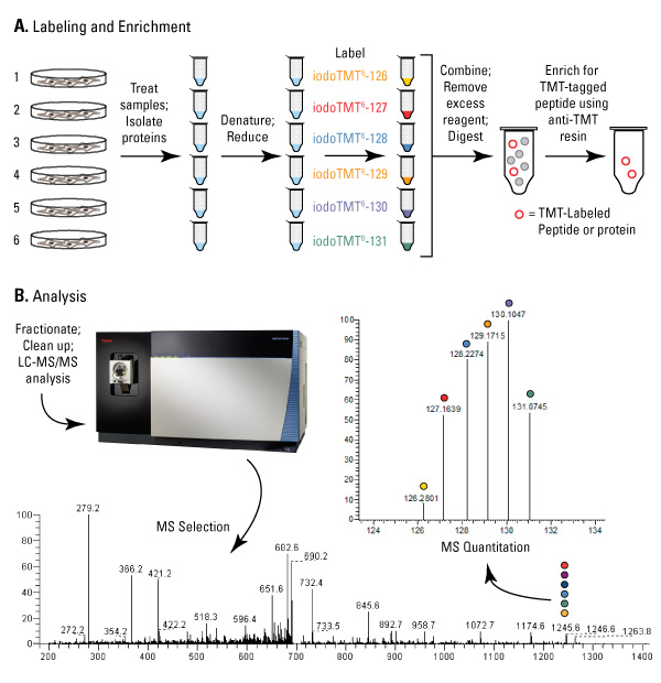 A13n11-Fig2-600px A13n11-Fig2-600px