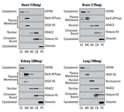 A12n07-Fig2 A12n07-Fig2