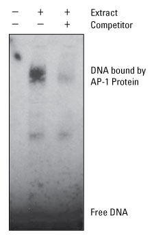 A12n07-Fig3 A12n07-Fig3