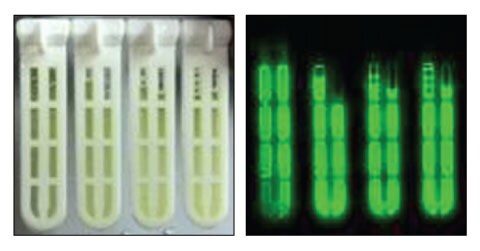 A14n01-Fig4 A14n01-Fig4