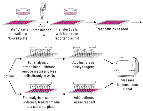 A13n06-Fig2-600px A13n06-Fig2-600px