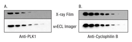 A13n13-Fig3 A13n13-Fig3