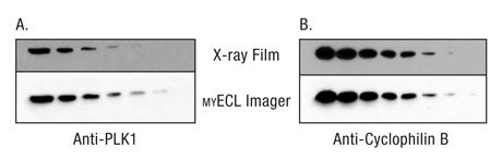 A13n13-Fig3 A13n13-Fig3
