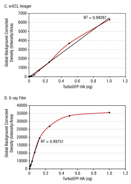 A13n13-Fig4cd A13n13-Fig4cd