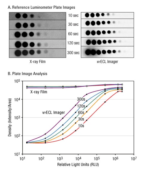 A13n13-Fig2ab A13n13-Fig2ab