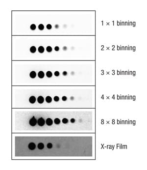 A13n13-Fig5 A13n13-Fig5