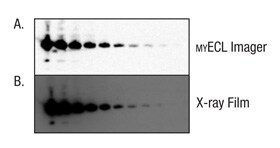 A13n13-Fig4ab A13n13-Fig4ab