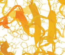 Protein Biology Selection Guides Protein Biology Selection Guides