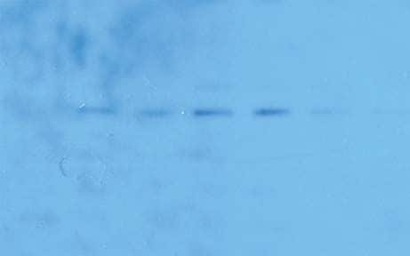 WB常见问题—信号微弱或无信号 WB常见问题—信号微弱或无信号