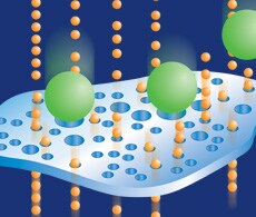 Protein Isolation and Purification Information Protein Isolation and Purification Information