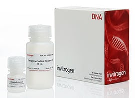 海藻低温保存试剂盒 海藻低温保存试剂盒