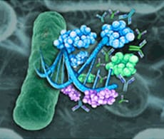 1375271853615 1375271853615