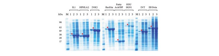 increase-magicmedia-yields-740 increase-magicmedia-yields-740