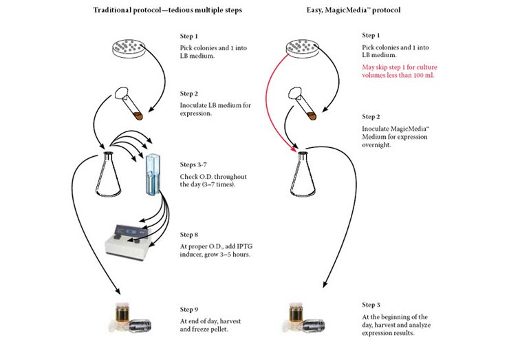 effortless-magicmedia-proto-740 effortless-magicmedia-proto-740
