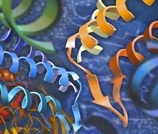 MammalianCell-FreeProteinExpression MammalianCell-FreeProteinExpression