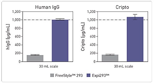 人体IgG和fc标记的Cripto的表达 人体IgG和fc标记的Cripto的表达