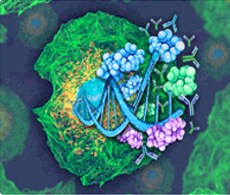 showcase.par.28884.image.0.0.1 showcase.par.28884.image.0.0.1