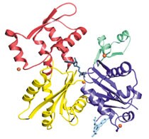 not-thebrain not-thebrain