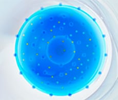 protein-expression-mondrian protein-expression-mondrian
