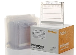 Zymogram gels Zymogram gels