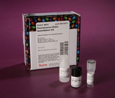 荧光生物素定量试剂盒 定量试剂盒盒和单独的试剂