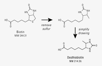 生物素和脱硫生物素的化学结构比较 生物素和脱硫生物素的化学结构比较