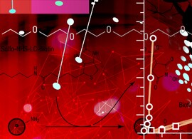 带有生物素标记分子的部分细胞三维图像 带有生物素标记分子的部分细胞三维图像
