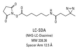 异型双功能团交联剂 LC-SDA 的化学结构 异型双功能团交联剂 LC-SDA 的化学结构