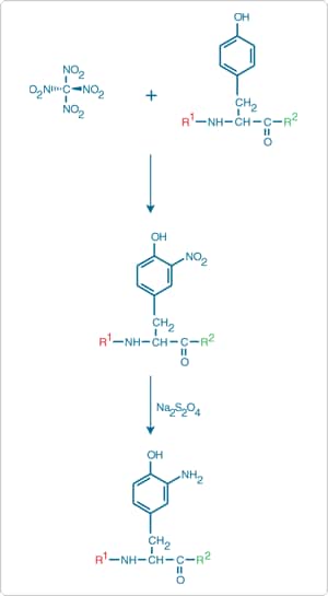Amine reaction chemical structure Reaction of amine reactive group with succinimidyl ester or TFP ester fluorescent dye to form a carboxamide conjugate