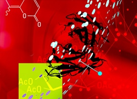 Protein labeling schematic 3D image of protein and chemical structure