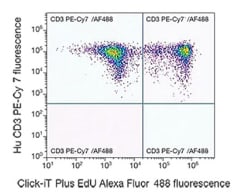 Immunophenotyping Bivariant plot with replicating CD3 positive cells in upper right and non-replicating CD3 positive cells in upper left