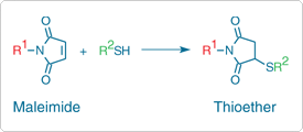 Thiol reaction chemical structure Reaction of thiol reactive group with a maleimide fluorescent dye to form a thioester conjugate