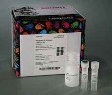 Proteases and Protein-Cleaving Reagents Proteases and Protein-Cleaving Reagents