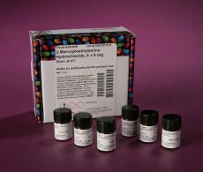 带包装的样品瓶 含样品瓶包装,用于 2- 巯基乙胺盐酸盐