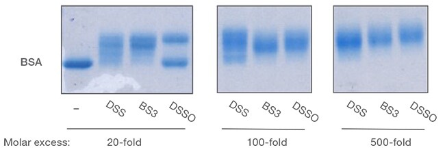 Comparison of BSA crosslinking efficiency by SDS-PAGE Comparison of BSA crosslinking efficiency by SDS-PAGE