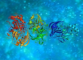 蛋白样品制备方法5步骤 蛋白样品制备方法5步骤