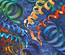 蛋白纯化 蛋白纯化