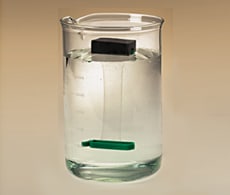 SnakeSkinBeaker190x233-sc SnakeSkinBeaker190x233-sc