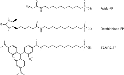 Chemical structure of Active Site Probes Visual representation of the chemical structures of Thermo Scientific Active Site Probes, azido, desthiobiotin and fluorescent fluorophosphonate Mechanism and chemical