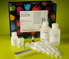 88310-88312-Kinase-Kit-230x195 88310-88312-Kinase-Kit-230x195