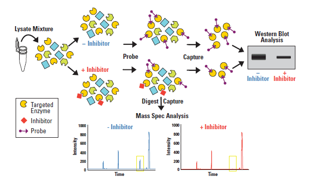 active-site-probes-workflow active-site-probes-workflow