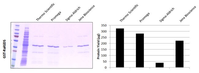 Comparison of protein yield and purity between Pierce Glutathione Magnetic Agarose and products from other suppliers. Comparison of protein yield and purity between Pierce Glutathione Magnetic Agarose and products from other suppliers.