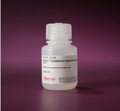 GST-tagged Fusion Protein Purification GST-tagged Fusion Protein Purification