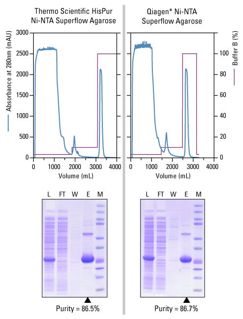 High-yield, high-purity, medium-scale purification of 6xHis-Tagged protein with HisPur Ni-NTA Superflow Agarose High-yield, high-purity, medium-scale purification of 6xHis-Tagged protein with HisPur Ni-NTA Superflow Agarose