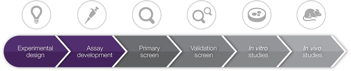 functional genomics screening workflow functional genomics screening workflow